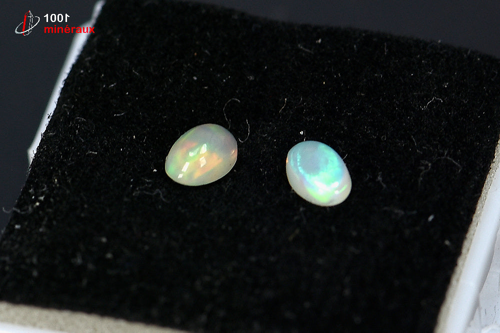 Paire d'opales nobles polies avec reflets irisés contenues dans une boîte de présentation d'Australie