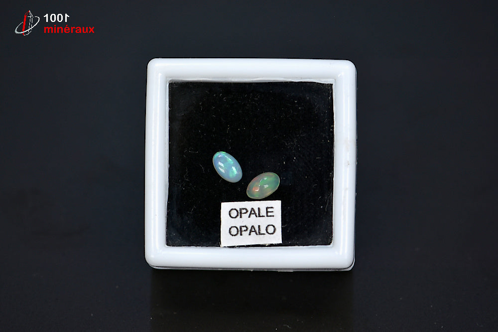 Paire d'opales nobles polies avec reflets irisés contenues dans une boîte de présentation d'Australie
