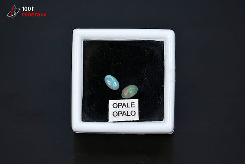 Paire d'opales nobles polies avec reflets irisés contenues dans une boîte de présentation d'Australie