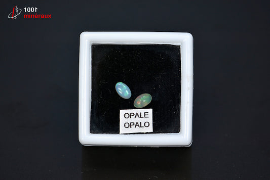 Paire d'opales nobles polies avec reflets irisés contenues dans une boîte de présentation d'Australie