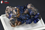 Cristaux d'Azurite sur Quartz - Maroc - minéraux à cristaux 4,6 cm / 45g / BK956 - Vignette | 1001 minéraux