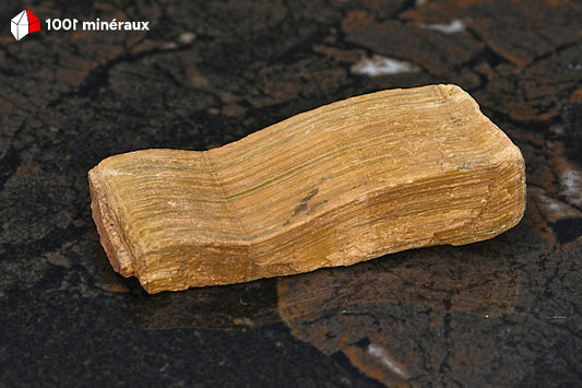 Œil de tigre d'Afrique du Sud - Spécimen brut doré aux reflets chatoyants - 55 g - BL110
