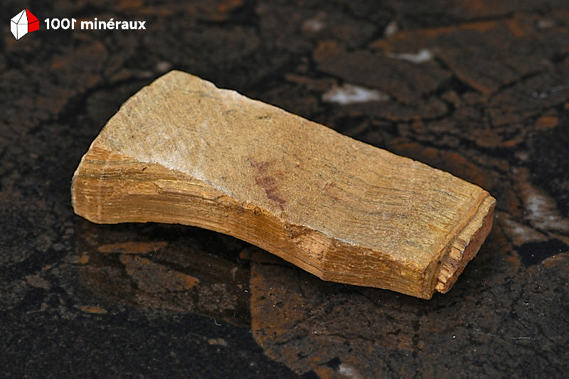 Œil de tigre d'Afrique du Sud - Quartz fibreux brut 6,9 x 2,8 x 1,9 cm - BL110
