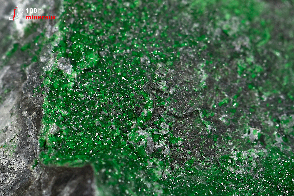 Minéral cristallisé d'uvarovite de Russie