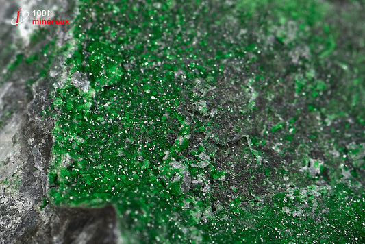 Minéral cristallisé d'uvarovite de Russie