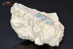 Tourmaline bleue et rose sur roche - Brésil - minéraux à cristaux 8,4 cm / 206g / BL34 - Vignette | 1001 minéraux