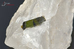 Tourmaline verte sur Quartz - Brésil - minéraux à cristaux 3,6 cm / 22g / BL444 - Vignette | 1001 minéraux