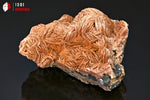 Baryte et Galène - Maroc - minéraux à cristaux 8,1 cm / 395g / BL488 - Vignette | 1001 minéraux