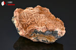 Baryte et Galène - Maroc - minéraux à cristaux 8,1 cm / 395g / BL488 - Vignette | 1001 minéraux