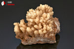 Aragonite rayonnante - Maroc - Minéraux à cristaux 8,3 cm / 218g / BL491 - Vignette | 1001 minéraux