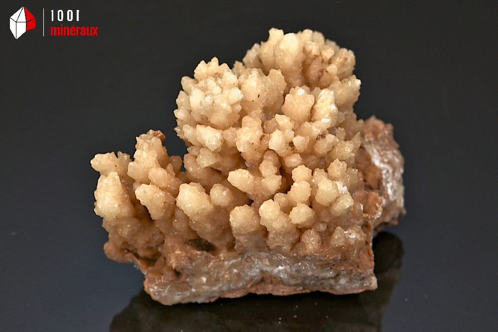 Minéral cristallisé d'aragonite rayonnante du Maroc