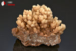 Aragonite rayonnante - Maroc - Minéraux à cristaux 8,3 cm / 218g / BL491 - Vignette | 1001 minéraux