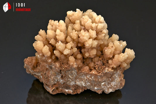 Minéral cristallisé d'aragonite rayonnante du Maroc