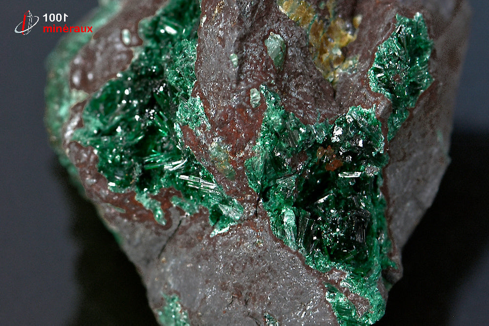 Minéral cristallisé de brochantite verte du Maroc