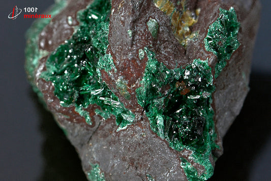 Minéral cristallisé de brochantite verte du Maroc