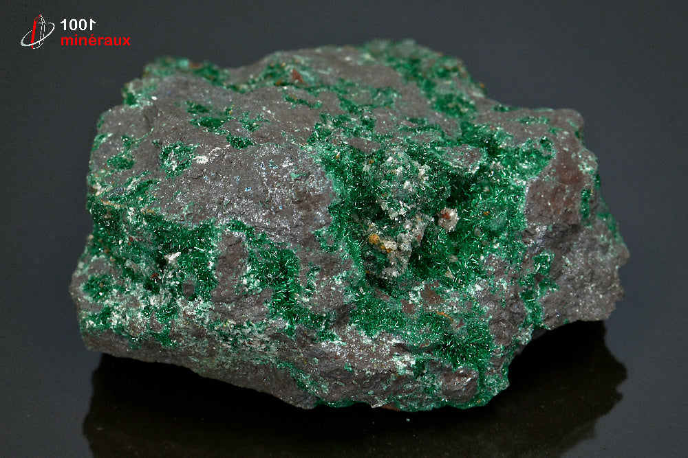 Minéral cristallisé de brochantite verte du Maroc