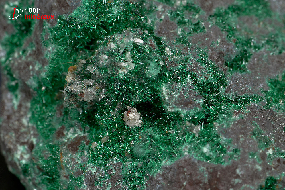 Minéral cristallisé de brochantite verte du Maroc