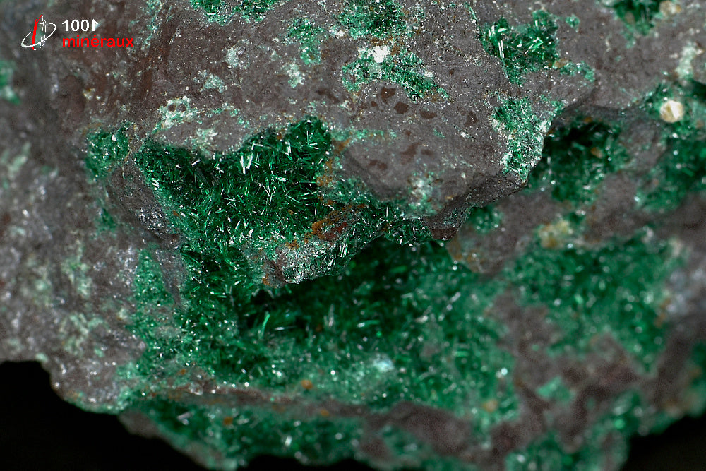 Minéral cristallisé de brochantite verte du Maroc