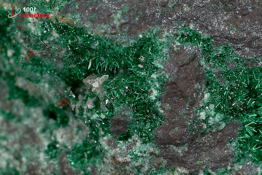 Minéral cristallisé de brochantite verte du Maroc