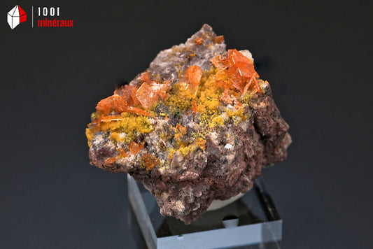 Minéral cristallisé de wulfénite orange de Chine avec des cristaux carrés