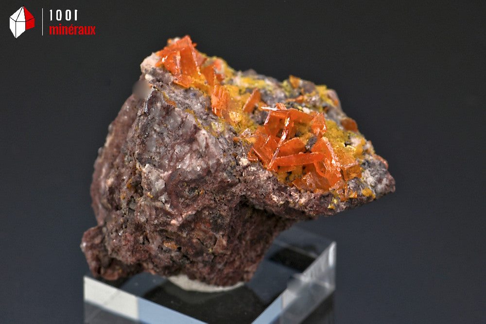 Minéral cristallisé de wulfénite orange de Chine avec des cristaux carrés
