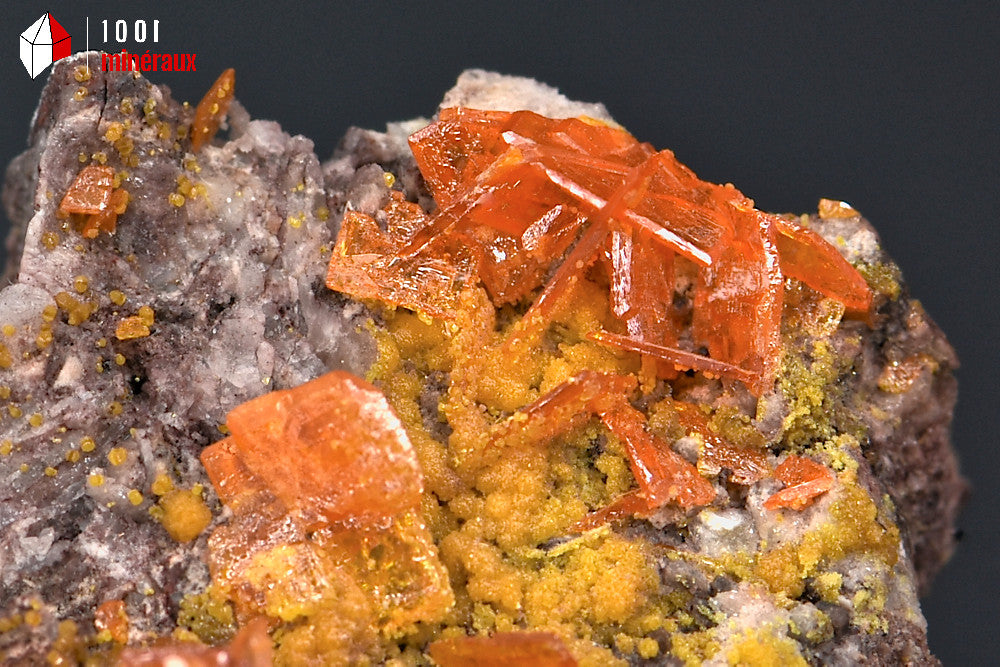 Minéral cristallisé de wulfénite orange de Chine avec des cristaux carrés