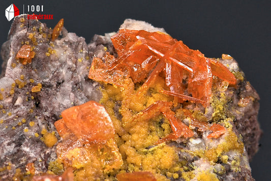 Minéral cristallisé de wulfénite orange de Chine avec des cristaux carrés