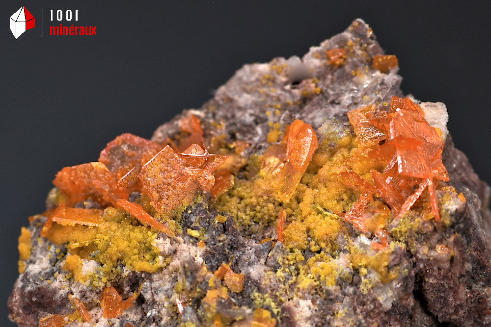 Minéral cristallisé de wulfénite orange de Chine avec des cristaux carrés