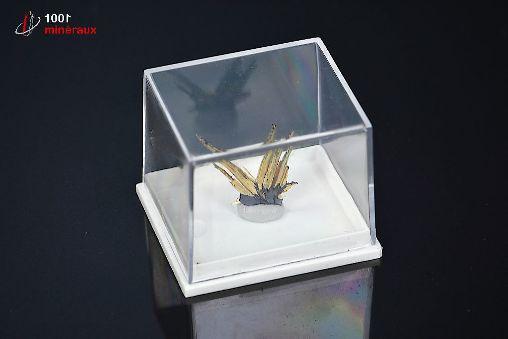 Minéral cristallisé de rutile sur ilménite du Brésil