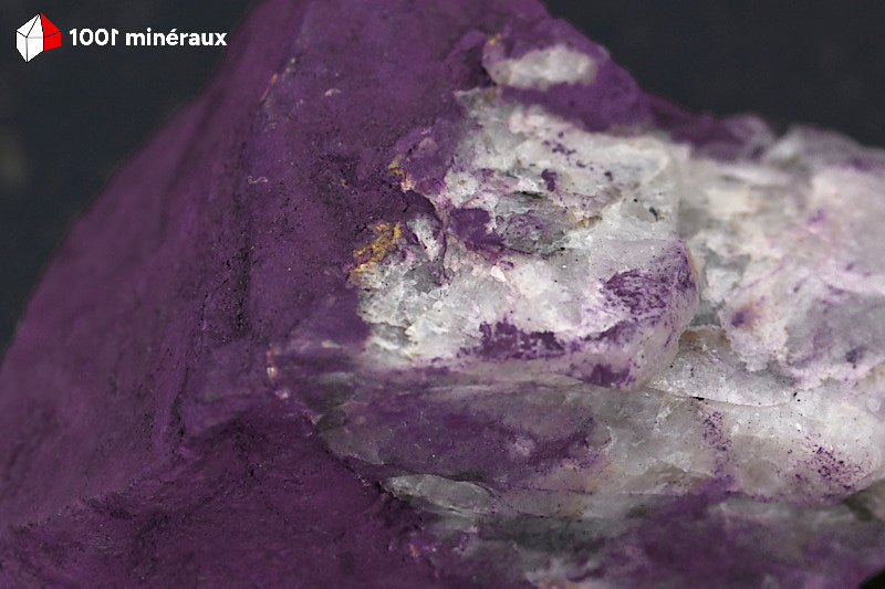 Purpurite sur Quartz blanc du Portugal - Détail du contraste Purpurite violette et Quartz blanc - 92 g
