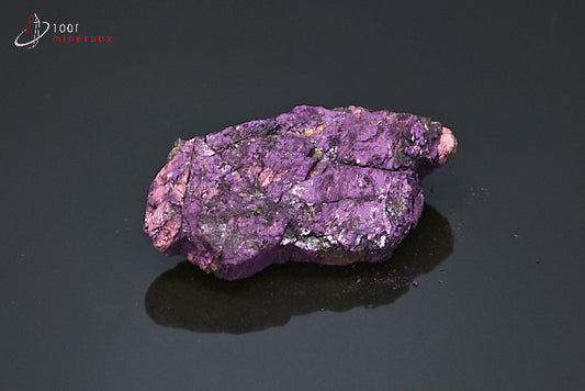 Minéral brut de purpurite violet ou pourpre du Portugal