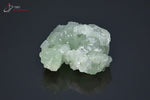 Prehnite cristallisée - Maroc - Minéraux à cristaux 3,3 cm / 13g / BL8 - Vignette | 1001 minéraux