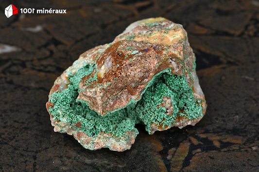 Malachite du Maroc - Cavité rocheuse tapissée de Malachite verte botryoïdale - 103 g - BL91
