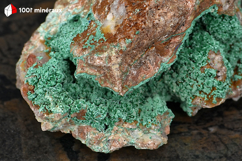 Malachite du Maroc - Détail des globules veloutés de Malachite botryoïdale verte - 103 g
