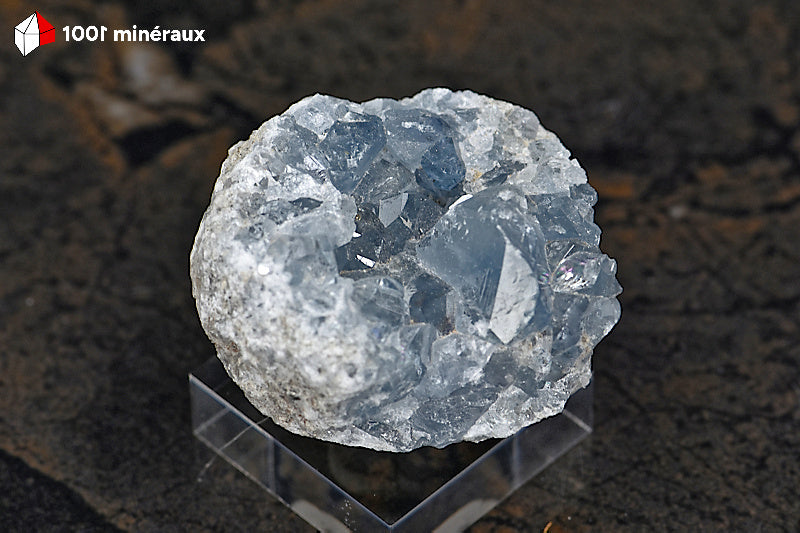 Célestine de Madagascar - Cristaux bleu-gris translucides sur socle - 76 g - BL92
