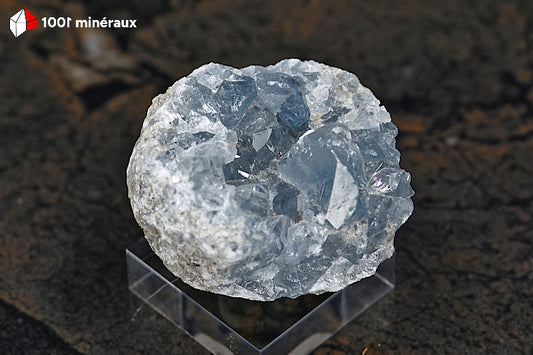 Célestine de Madagascar - Cristaux bleu-gris translucides sur socle - 76 g - BL92
