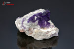 Fluorine violette sur roche - Maroc - minéraux à cristaux 6,1 cm / 102g / BL931 - Vignette | 1001 minéraux