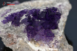 Fluorine violette sur roche - Maroc - minéraux à cristaux 6,1 cm / 102g / BL931 - Vignette | 1001 minéraux