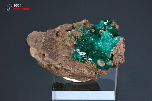 Minéral cristallisé de dioptase de République démocratique du Congo