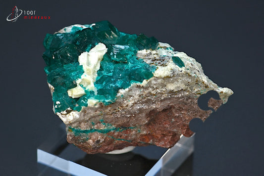 Minéral cristallisé de dioptase de République démocratique du Congo