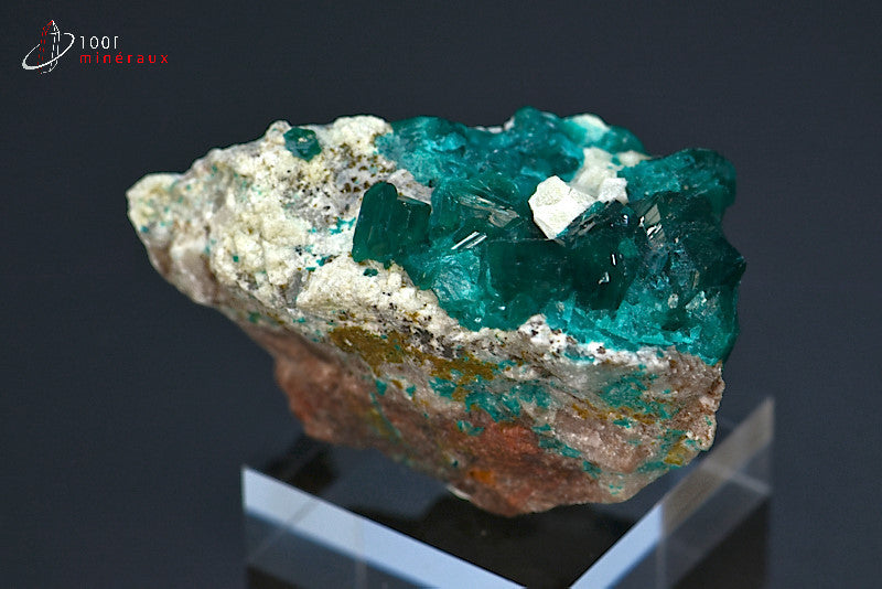 Minéral cristallisé de dioptase de République démocratique du Congo