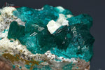 Dioptase - R.D. du Congo - minéraux à cristaux 3,7 cm / 45g / BL941 - Vignette | 1001 minéraux