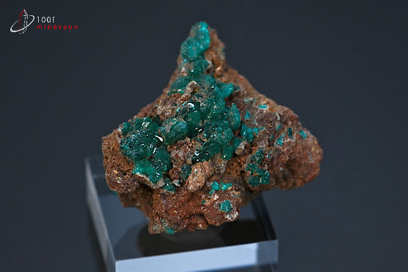 Minéral cristallisé de dioptase de République démocratique du Congo