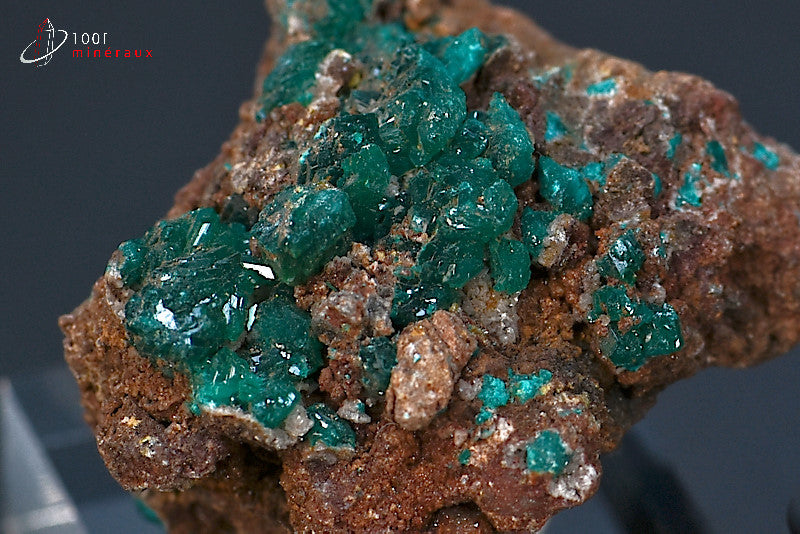 Minéral cristallisé de dioptase de République démocratique du Congo