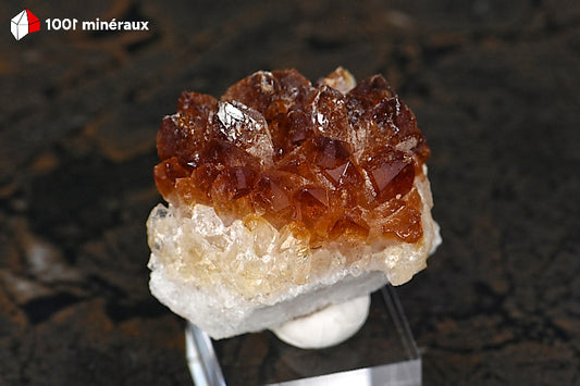 Citrine du Brésil - Cristaux jaune-orangé sur socle - 70 g - BL94
