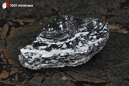 Obsidienne flocons de neige du Mexique - Roche brute noire tachetée de blanc - 54 g - BL95
