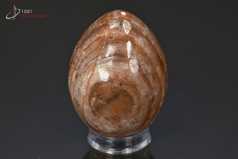 Minéral poli d'aragonite en forme d'œuf du Maroc