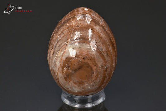 Minéral poli d'aragonite en forme d'œuf du Maroc