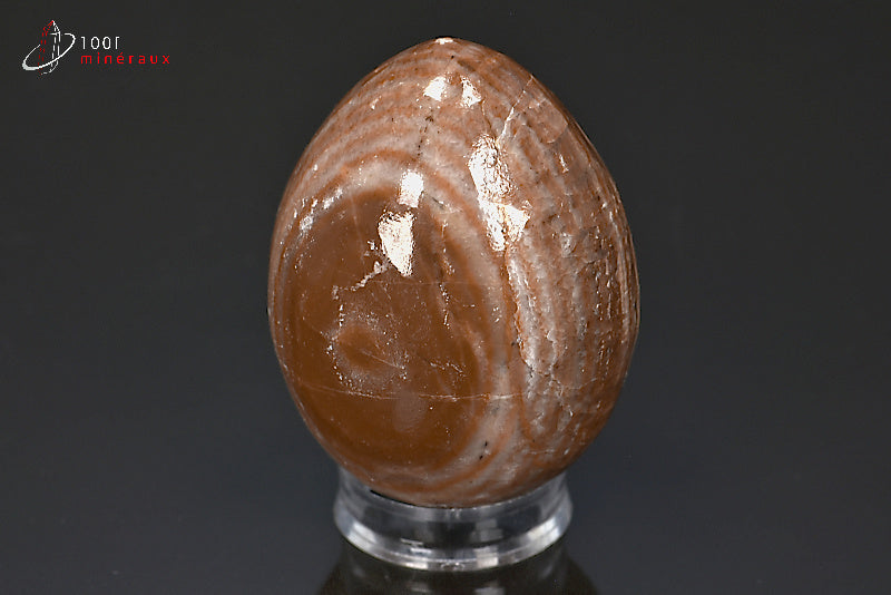 Minéral poli d'aragonite en forme d'œuf du Maroc