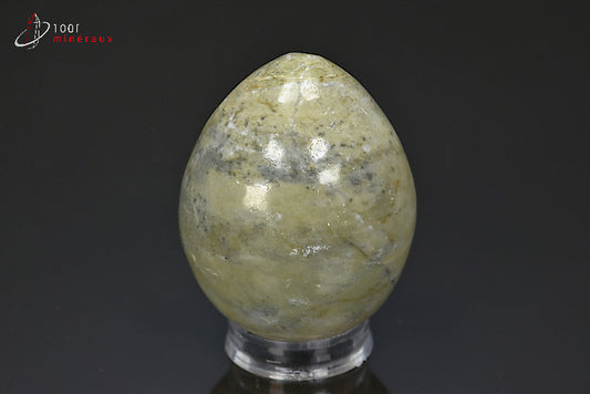 Minéral poli d'aragonite en forme d'œuf du Maroc